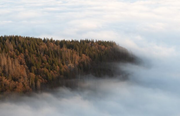 Feldberg – Juodasis Miškas (Vokietija)